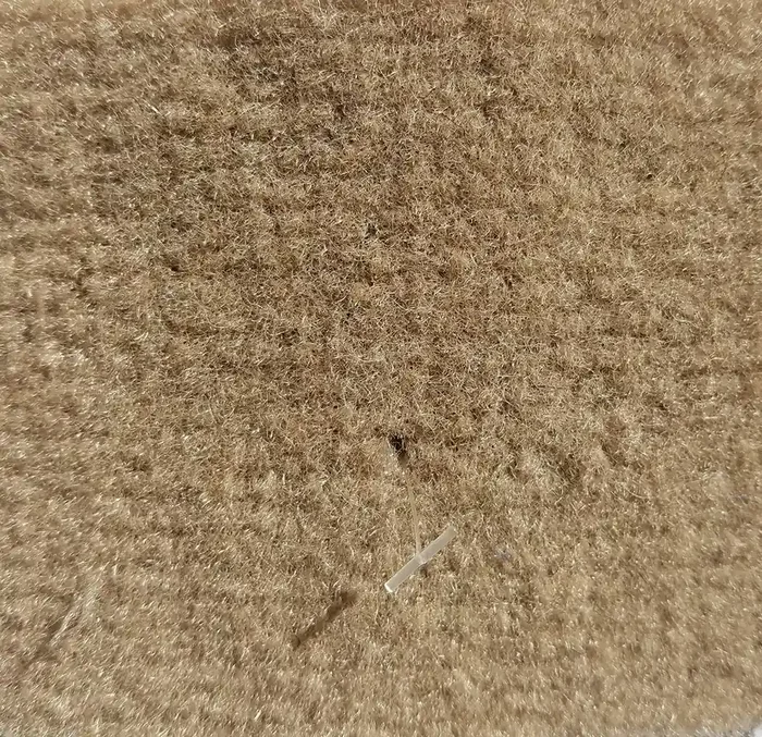20 Oz. Do-It-Yourself Boat Carpet – 8‘ Wide X Various Lengths (Choose Your Color & Length) (Sand, 8‘ X 20‘)