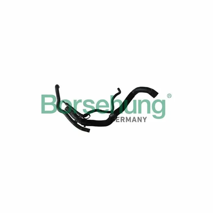 Borsehung B11963 Radiator Hose