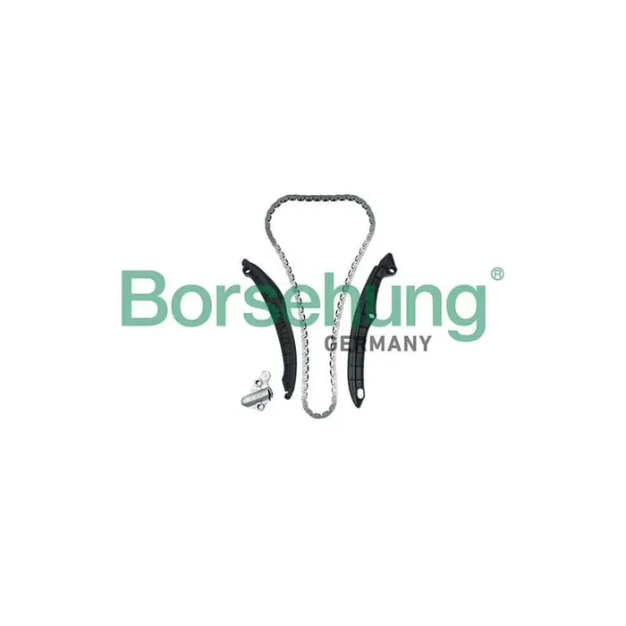 Borsehung B17991 Timing Chain Kit