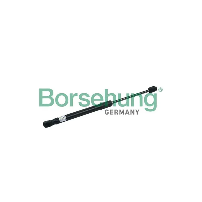 Borsehung B18464 Tailgate Strut for VW Passat B7 Saloon (362)