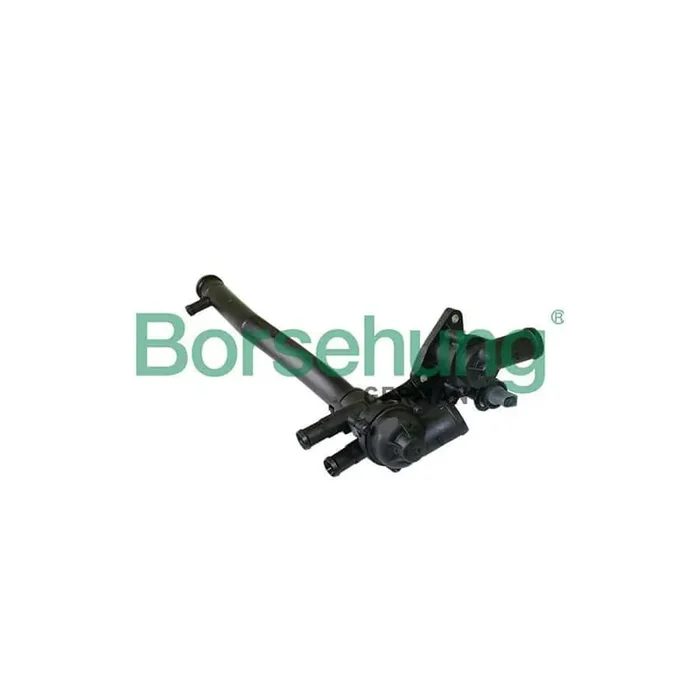 Borsehung B19087 Engine Thermostat