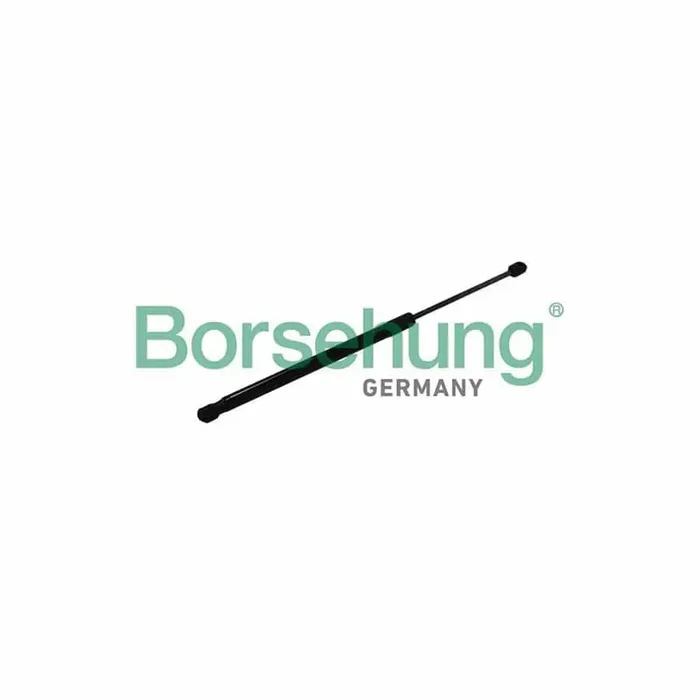 Borsehung B19169 Tailgate Strut