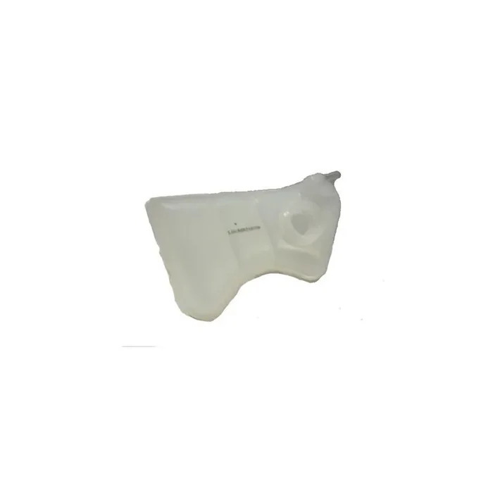 BUGIAD Bmc19093 Water Tank, Radiator for Ford Fiesta