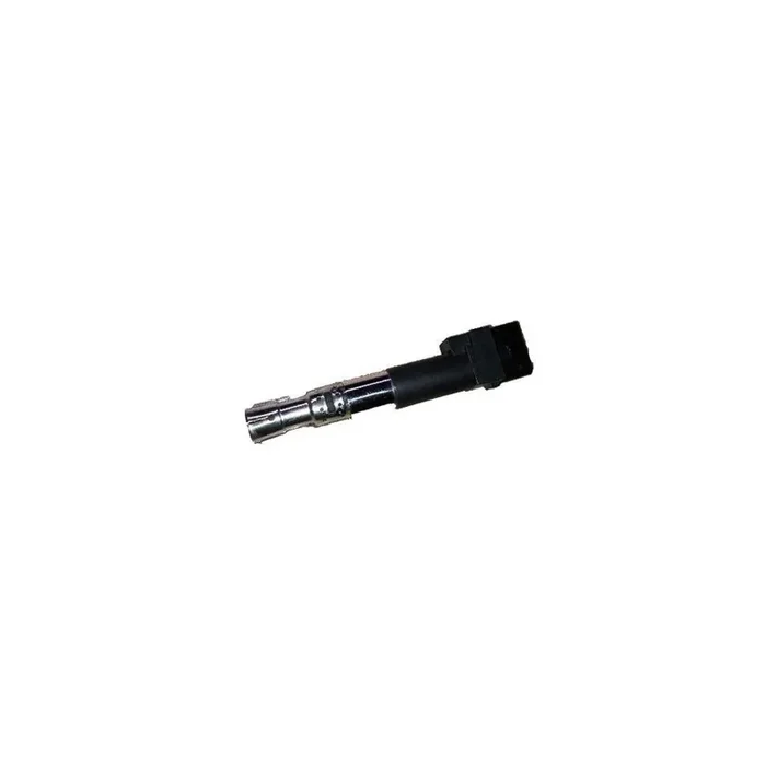 BUGIAD Bsp24996 Ignition Coil