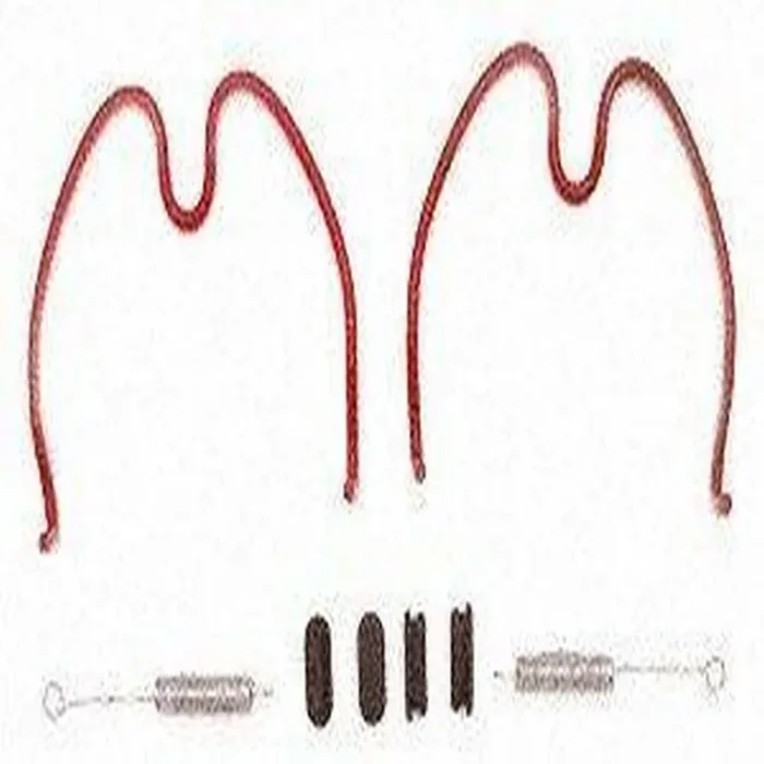 Raybestos H7324 Professional Grade Drum Brake Hardware Kit