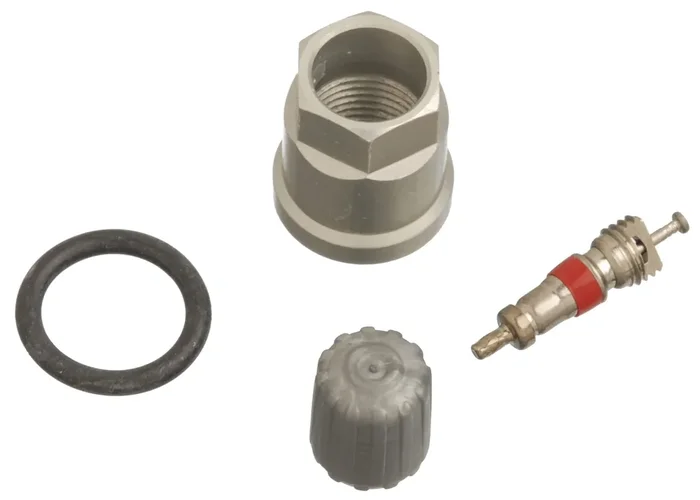 Schrader 20012 Tpms Service Pack Fits Chevrolet Chrysler Plymouth, Single Unit